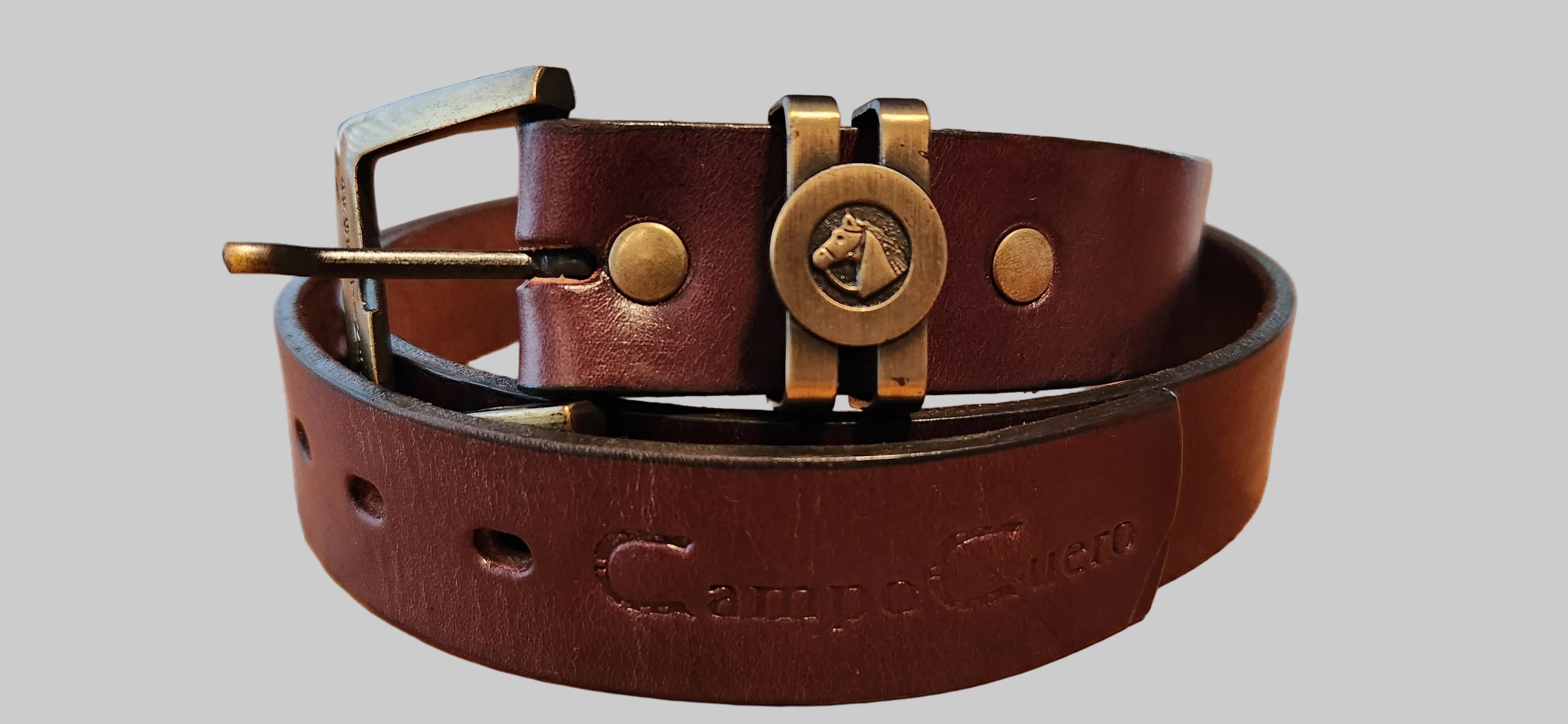 The Alpha belt